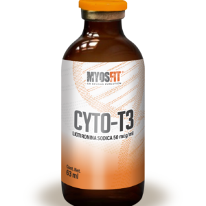 CyTo-T3