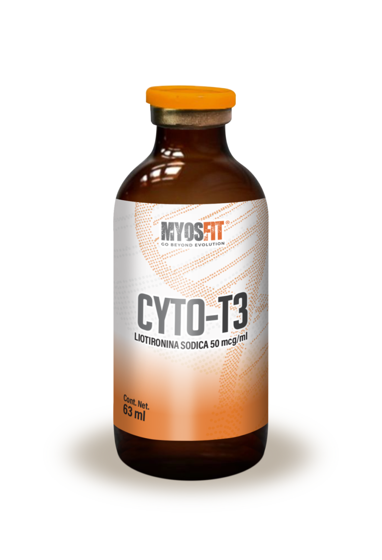 CyTo-T3